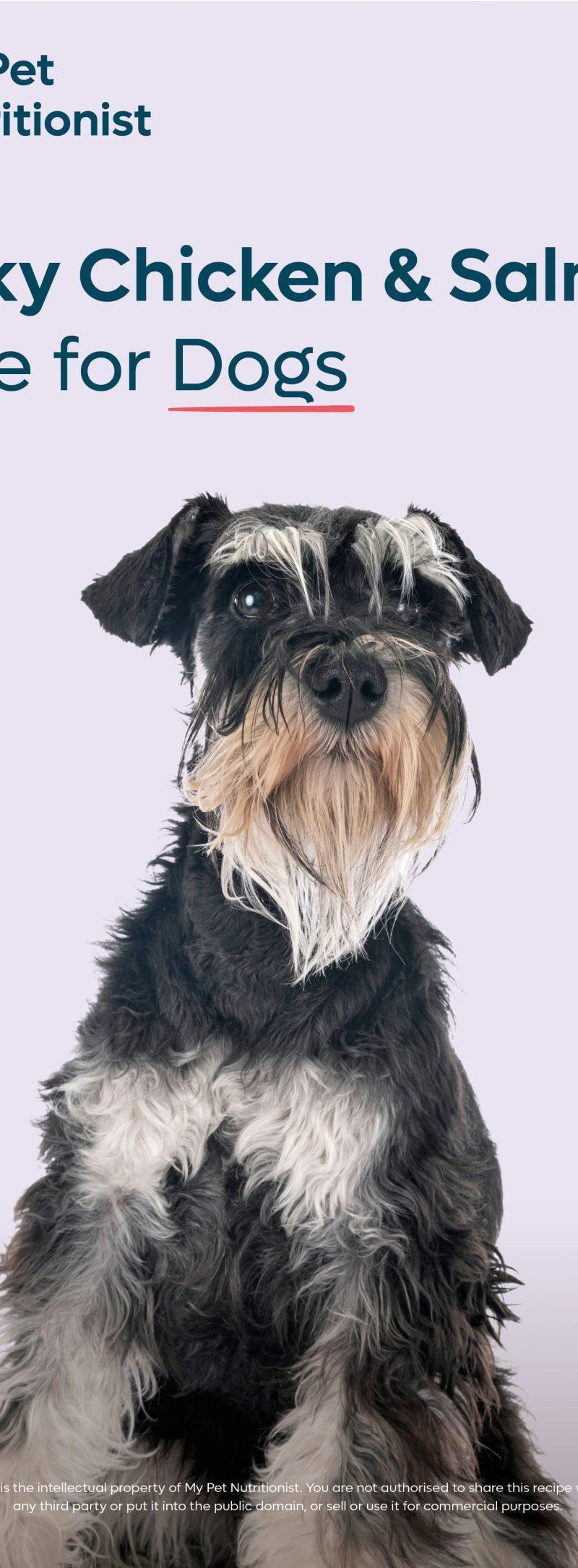 Cheeky Chicken & Salmon