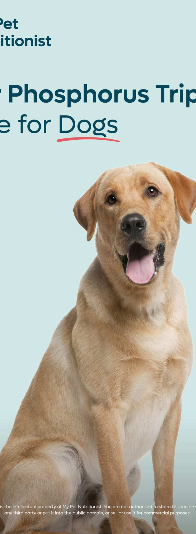 Low Phosphorus Tripe