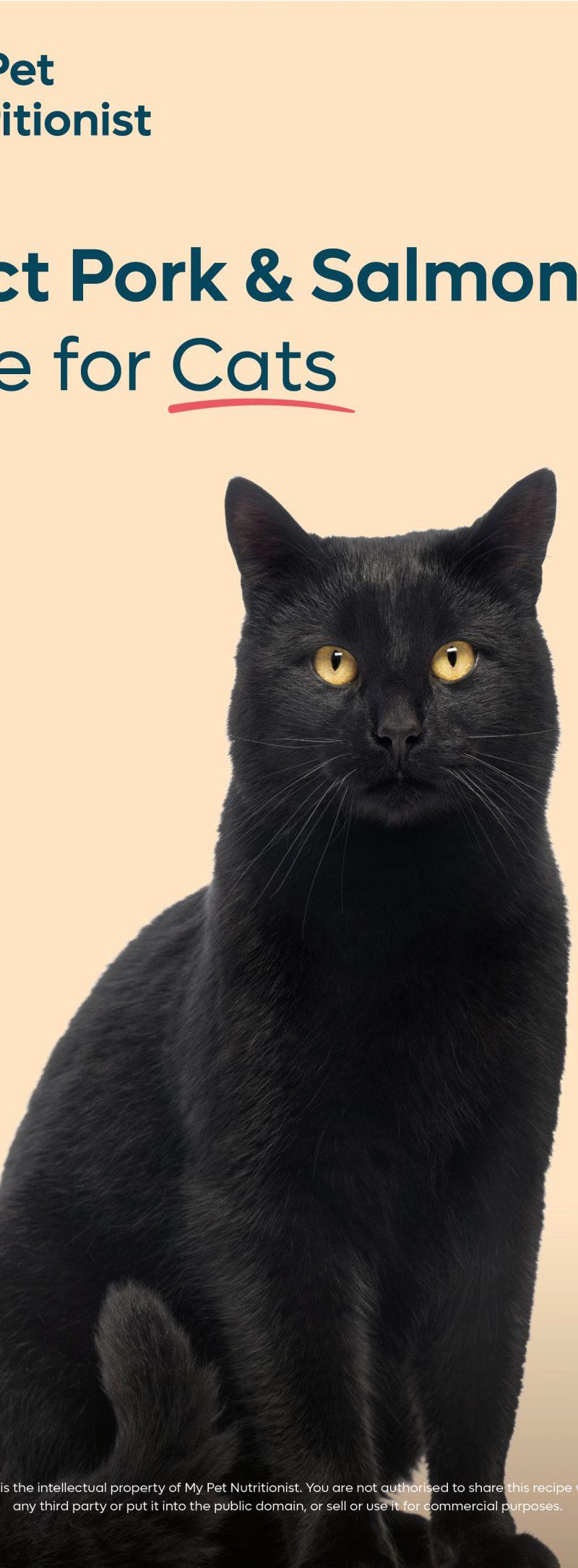 Perfect Pork & Salmon