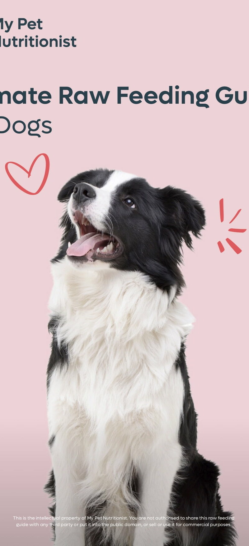 The Ultimate Raw Feeding Guide for Dogs