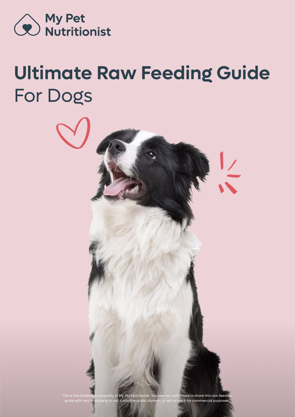 The Ultimate Raw Feeding Guide for Dogs My Pet Nutritionist