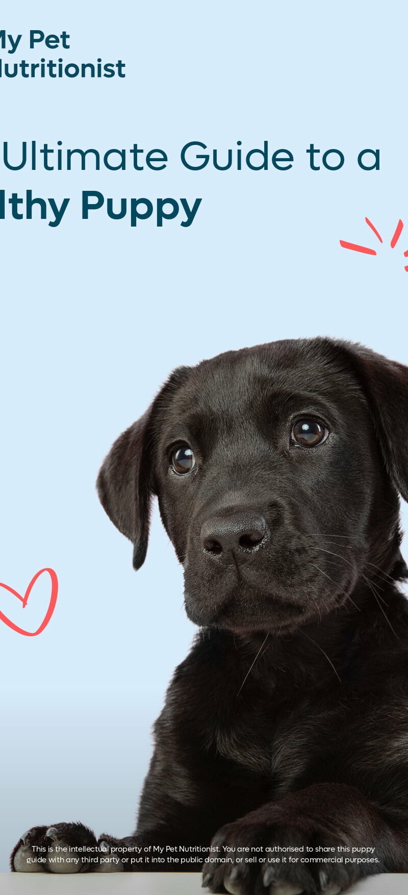 The Ultimate Guide to a Healthy Puppy