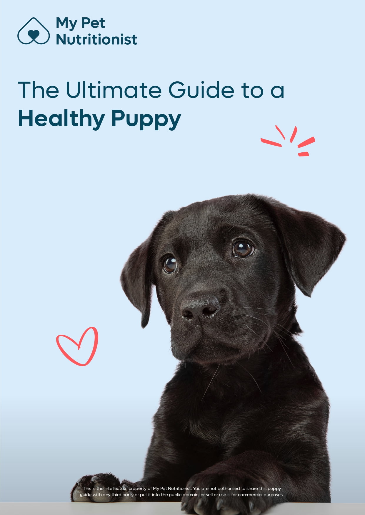 Puppy handbook hot sale