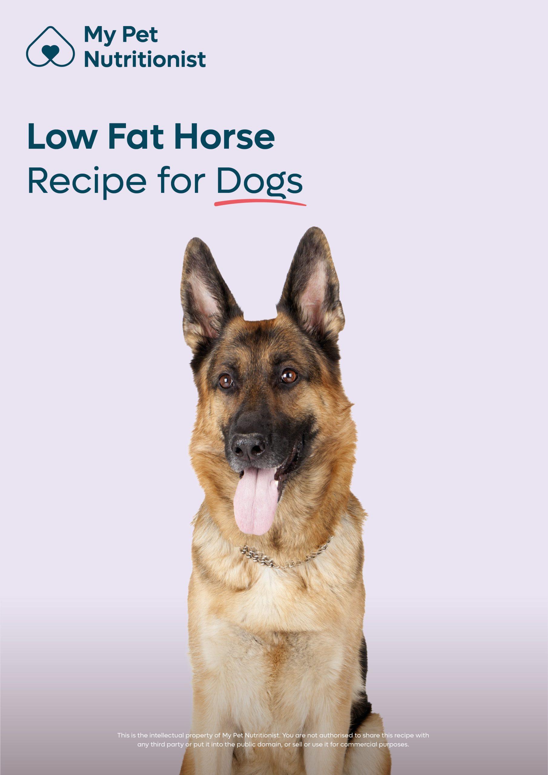 Is fat good for dogs best sale