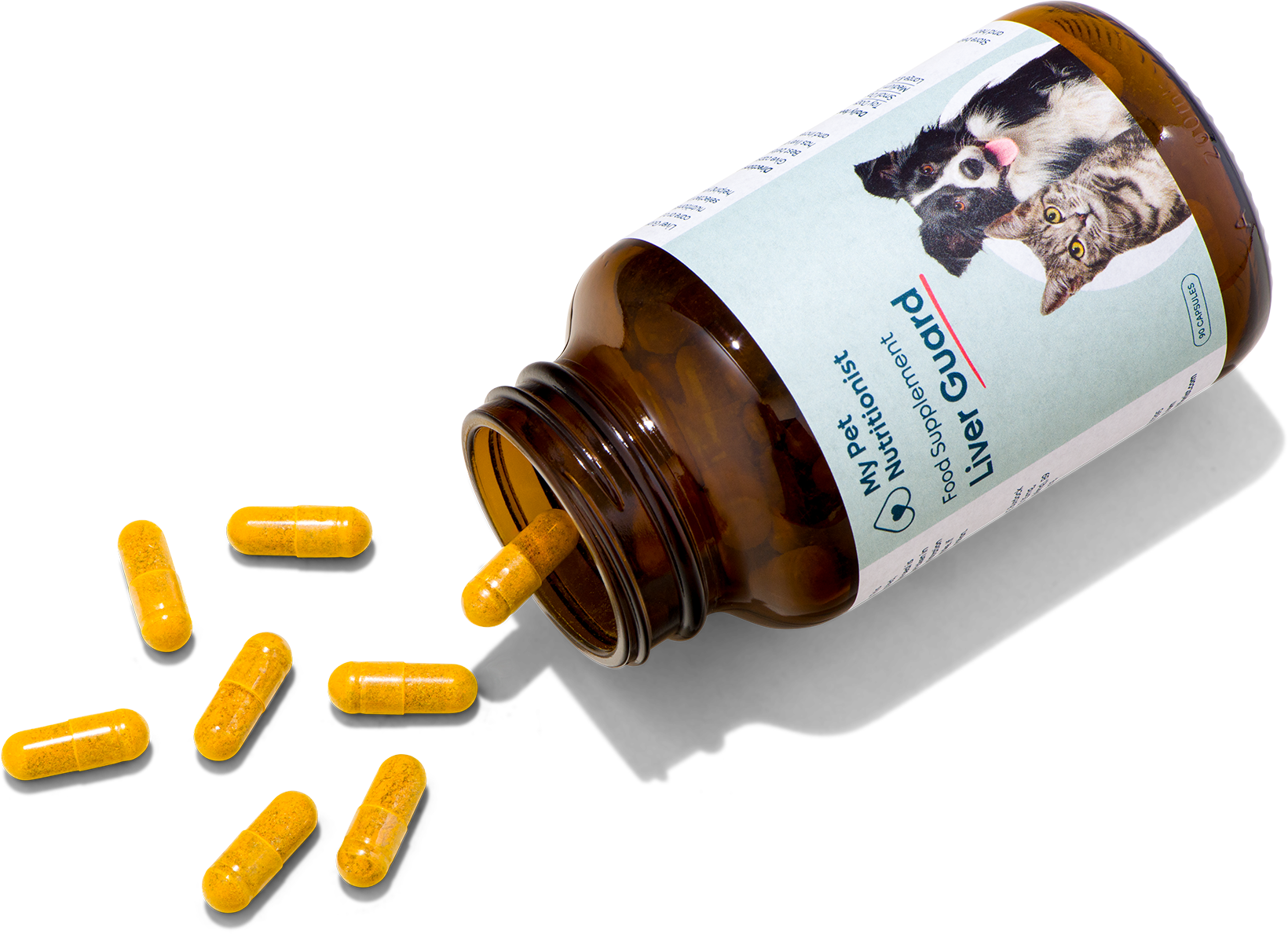 glutathione injections culver city Dog Glutathione S Transferase Alpha 1 (GSTa1) Protein main image 1