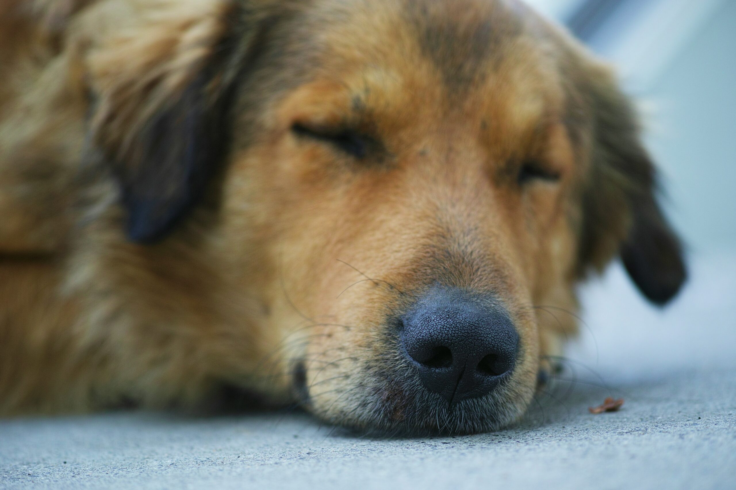8 Health Factors that can Affect Behaviour