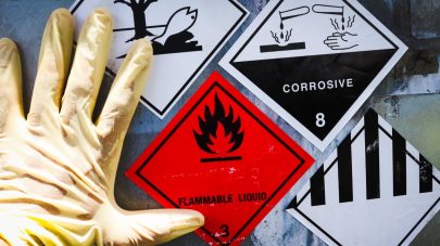 How To Avoid Environmental Hazardous Exposure in Pets – Part 1