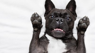 Oxalate Stones – What You Need to Know