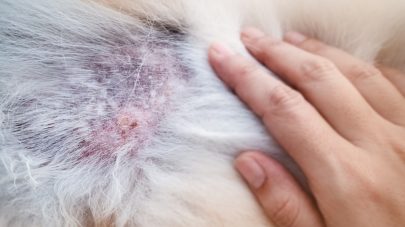 Hotspots: What’s Causing Them, and How To Help