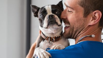 What Should I Feed My Dog with Acid Reflux?