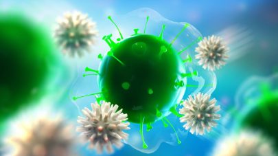 Your Pet’s Immune System