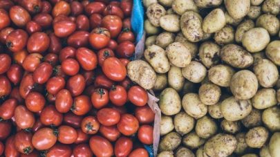 Lectins and Should My Dog Eat Them?