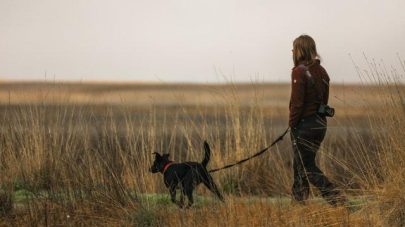 The Importance of Nature for Human and Dog Health