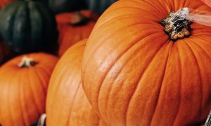 Pumpkin Power…. Spooky!!!