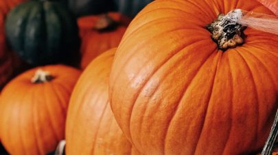 Pumpkin Power…. Spooky!!!