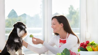 4 Times You Don’t Want To Feed Veg To Your Dog