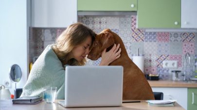 The Pet Owner’s Stress Load 