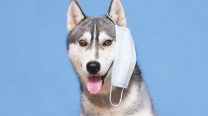 7 Factors Affecting Immunity