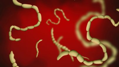 The Ultimate Guide on Parasites: Part 2 – Internal Parasites