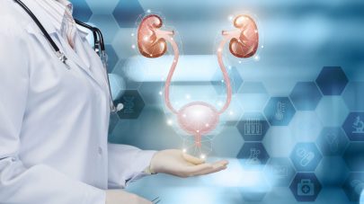 Best Diet for Struvite Crystals in Dogs