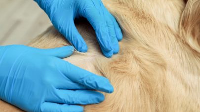 The Low Down on Keratosis