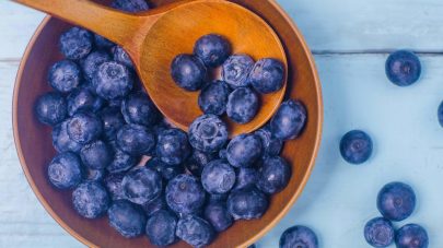 The Skinny on Blueberries for Dogs