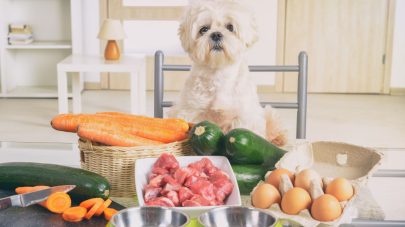 Can Food Sensitivities Cause a Pancreatic Flare?