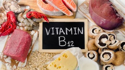 Why Your Dog Needs Vitamin B12