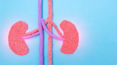 Kidney Diet: Low Phosphorous Vs Low Protein