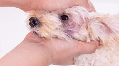 Can Genes Result in Poor Skin Function?