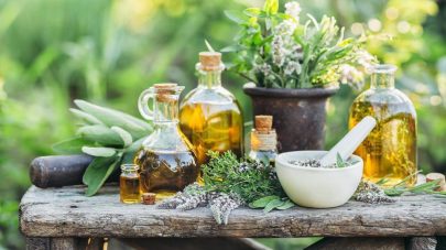 7 Wonderful Herbs for Dogs